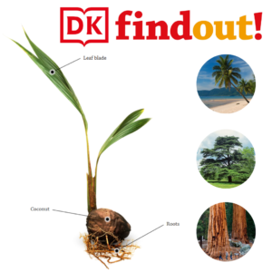 DK find out trees