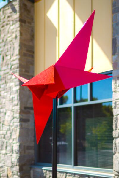 Flock by Shelly Durica-Laiche