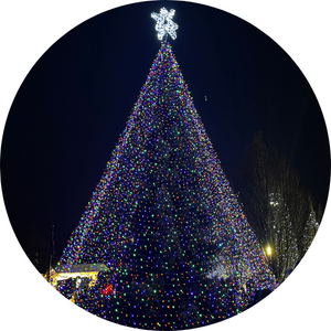 tree lighting website circle frame
