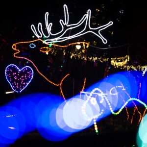 Brew Lights