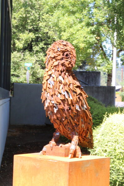 "Spirit of the Owl by Travis Pond"