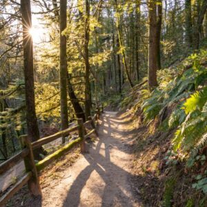 pittock hike