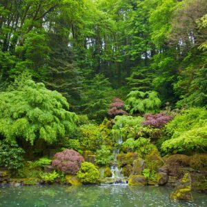 Portland-Japanese-Garden-20671