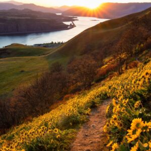 Lyle-Cherry-Orchard Hike