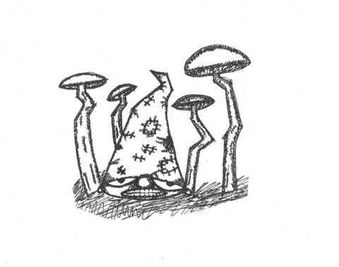 Liam - Rock Creek Middle School